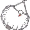 HS Sprenger Stainless Steel Semi Shock Collar With Stainless Steel Spikes