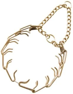 HS Sprenger Curogan Spiked Training Collar With Spikes