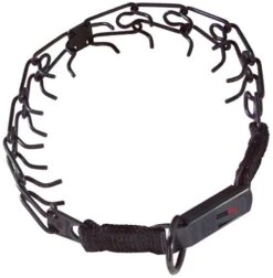 HS Sprenger Stainless Steel Training Collar With Lock Collar With Stainless