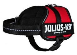 Julius K9 Harness Red 16 Julius K9 Harness Red -Pet Supplies-Dogs Shop 117746 1 g