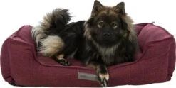 Trixie Talis Raspberry Bed 11 Trixie Talis Raspberry Bed -Pet Supplies-Dogs Shop 1200x604 63bd3e4936bd0 g