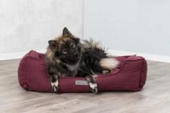 Trixie Talis Raspberry Bed 12 Trixie Talis Raspberry Bed -Pet Supplies-Dogs Shop 1200x800 1 63bd3e52037d5 g