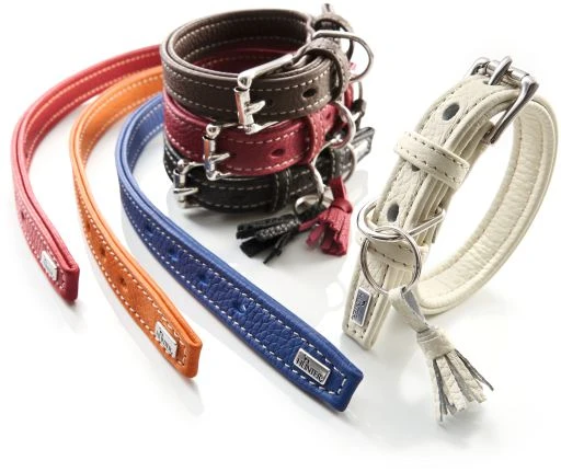 Hunter Cannes Collar For Dogs Orange Color 2 Hunter Cannes Collar For Dogs Orange Color - Image 2