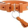 Hunter Cannes Collar For Dogs Orange Color