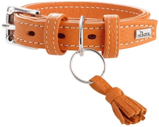 Hunter Cannes Collar For Dogs Orange Color 1 Hunter Cannes Collar For Dogs Orange Color