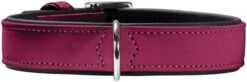 Hunter Softie Dog Collar For Raspberry Colored Dogs