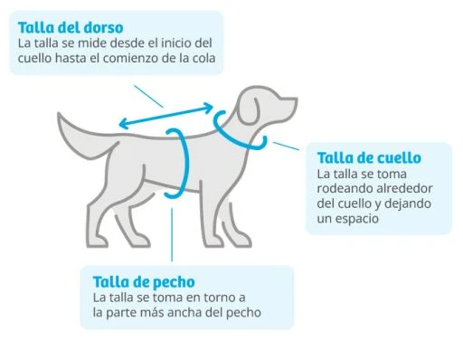 Freedog North Pole Model C Garnet Jacket 2 Freedog North Pole Model C Garnet Jacket - Image 2