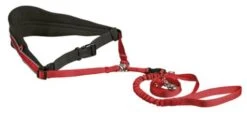 Trixie Canicross Padded Belt Handsfree Red