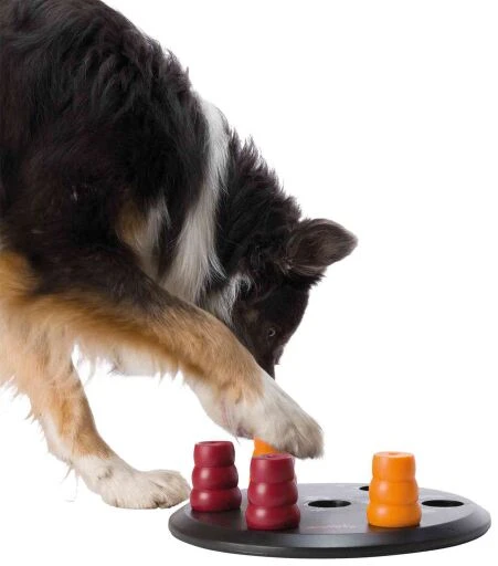 Trixie Dog Activity Solitaire 4 Trixie Dog Activity Solitaire - Image 4