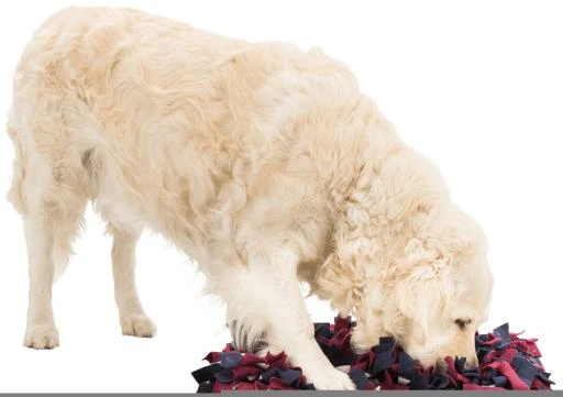 Trixie Activity Sniffing Mat 10 Trixie Activity Sniffing Mat - Image 10