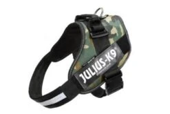 Julius K9 IDC Harness Camouflage -Pet Supplies-Dogs Shop 16IDC C 1 2000x 6284ab912bdd5 g
