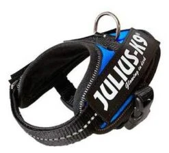 Julius K9 IDC Harness In Blue