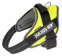 Julius K9 Powair Summer Harness Neon