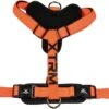 Nayeco X-Trm Cronos Neon Flash Harness