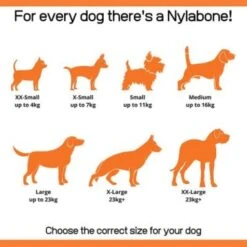 Nylabone Extreme Chew Barbell L -Pet Supplies-Dogs Shop 186512 interpet nylabone welpen dental kauknochen 1stck hs 05 4 6477657980d61 g