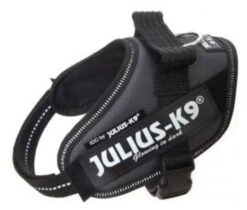 Julius K9 IDC Power Sling Grey