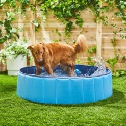Trixie Pool For Dogs -Pet Supplies-Dogs Shop 193510 MAIN AC SS600 V1613601708 62a7519b549d8 g
