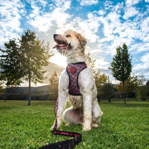 For Fan Pets Deadpool Premium Dog Harness 3 For Fan Pets Deadpool Premium Dog Harness - Image 3