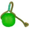 Starmark Treat Dispensing Chew Ball With Rope