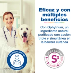 Douxo Shampoo Calm For Dogs And Cats 10 Douxo Shampoo Calm For Dogs And Cats -Pet Supplies-Dogs Shop 3411113009441 4 DOUXOS3 CALM Eficacia 63bd310acae42 g