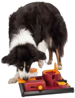 Trixie Dog Activity Poker Box 2 Level 2 -Pet Supplies-Dogs Shop 39302 pho pro dog clip 32013 1 3 g