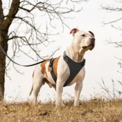 Ferplast Harness One Touch Giotto Brown -Pet Supplies-Dogs Shop 4 0190017458 1800x1800 63b176d21f29e g