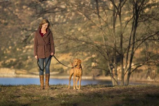 Halti Training Lead Strap Black 5 Halti Training Lead Strap Black - Image 5