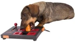Trixie Dog Activity Mini Mover Level 3 -Pet Supplies-Dogs Shop 42288 pho pro dog clip 32029 1 4 g