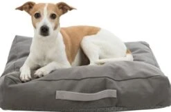 Trixie Be Eco Danilo Rectangular Grey Rectangular Cushion For Dogs 10 Trixie Be Eco Danilo Rectangular Grey Rectangular Cushion For Dogs -Pet Supplies-Dogs Shop 423486 danilo 4 4 g