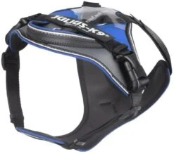 Julius K9 Idc Harness Longwalk Blue 6 Julius K9 Idc Harness Longwalk Blue -Pet Supplies-Dogs Shop 423605 arnes idc longwalk 2 2 jpeg 2 g