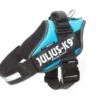 Julius K9 Idc Harness Aquamarine