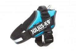 Julius K9 Idc Harness Aquamarine