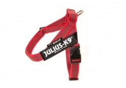 Julius K9 IDC Harness Red Tape