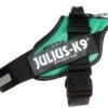 Julius K9 Idc Power Harness Grass Green