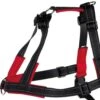 Trixie Black Soft Harness Lead'n'Walk Guide