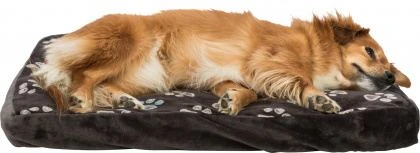 Trixie Jimmy Taupe Cushion 4 Trixie Jimmy Taupe Cushion - Image 4