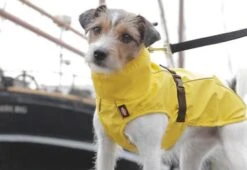 Trixie Vimy Yellow Raincoat 16 Trixie Vimy Yellow Raincoat -Pet Supplies-Dogs Shop 426360 vimyama 4 g