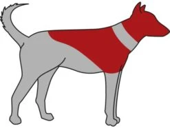 Trixie Isabelino Inflatable Collar Blue -Pet Supplies-Dogs Shop 427374 4011905195445 3 4 g