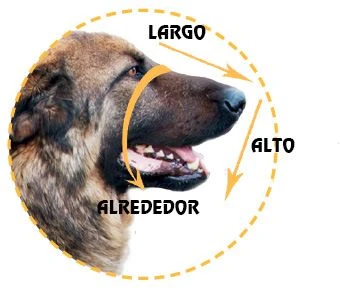 Julius K9 Male Mali Muzzle 2 Julius K9 Male Mali Muzzle - Image 2