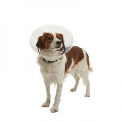 Ferribiella Elizabethan Plastic Collar -Pet Supplies-Dogs Shop 429635 colarisabelino 2 g