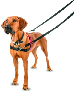 Halti Harness Anti Pulling Harness -Pet Supplies-Dogs Shop 43182 coalh01 3 4 g