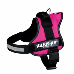 Julius K9 Harness Fuchsia