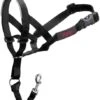 Halti Dog Muzzle Headcollar Black