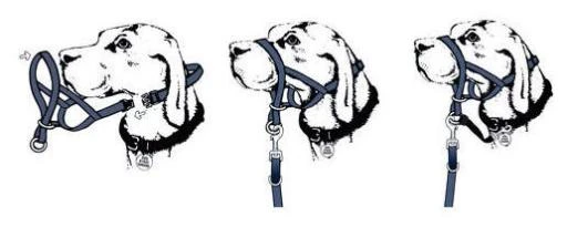 Halti Dog Muzzle Headcollar Black 2 Halti Dog Muzzle Headcollar Black - Image 2