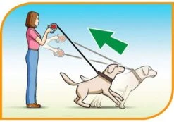 Ferplast Flippy Controller Tape Bordeaux 6 Ferplast Flippy Controller Tape Bordeaux -Pet Supplies-Dogs Shop 5976 8010690063102 1 2 g