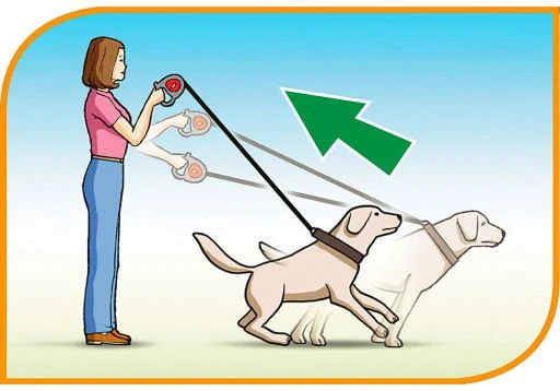 Ferplast Flippy Controller Tape Bordeaux 3 Ferplast Flippy Controller Tape Bordeaux - Image 3