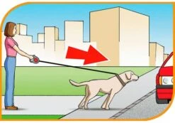 Ferplast Flippy Controller Tape Bordeaux 7 Ferplast Flippy Controller Tape Bordeaux -Pet Supplies-Dogs Shop 5976 8010690063102 2 3 g