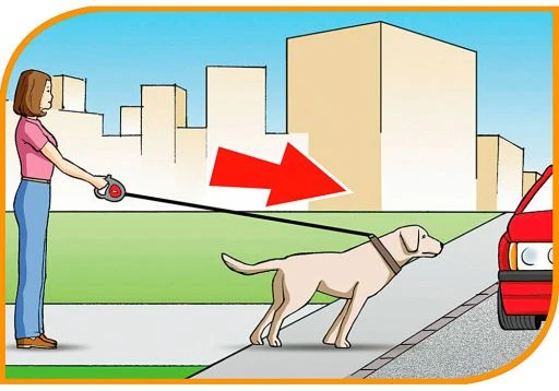 Ferplast Flippy Controller Tape Bordeaux 4 Ferplast Flippy Controller Tape Bordeaux - Image 4