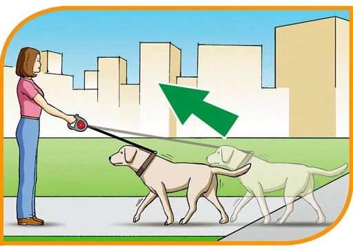 Ferplast Flippy Controller Tape Bordeaux 2 Ferplast Flippy Controller Tape Bordeaux - Image 2