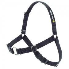 Softouch Sense-ible Educational And Anti-Strain Harness Black